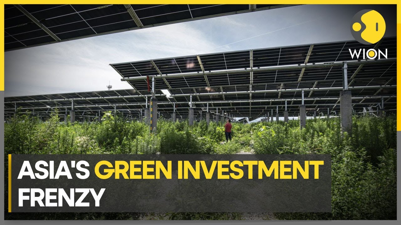 Asia's Green Revolution: Leading the charge towards sustainability | Latest World News | WION