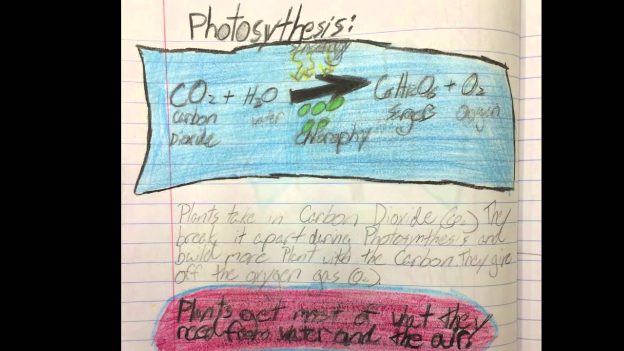 NextGen Life Science - 5th Grade