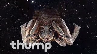 Lilies on Mars - "Dancing Star" (Official Video)