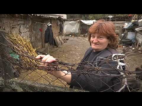 Pravo na sutra: Hronično vanredno stanje