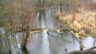 preview picture of video 'Virinta (upė), nepagrindinė vaga'