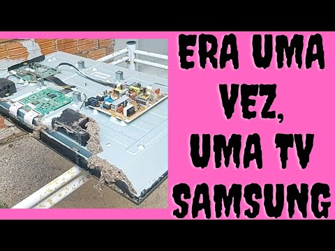 Tv Samsung Sem Imagem,Defeito Causado Por Formigas