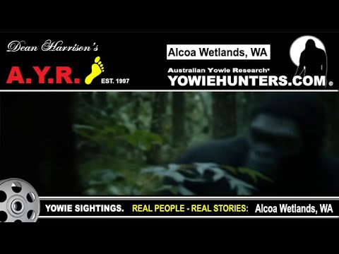 AYR Yowie / Bigfoot Sighting (Audio Report #Alcoa 201) at Alcoa Wetlands, Western Australia