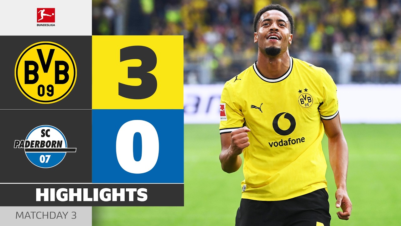 Borussia Dortmund vs SC Paderborn 07 highlights