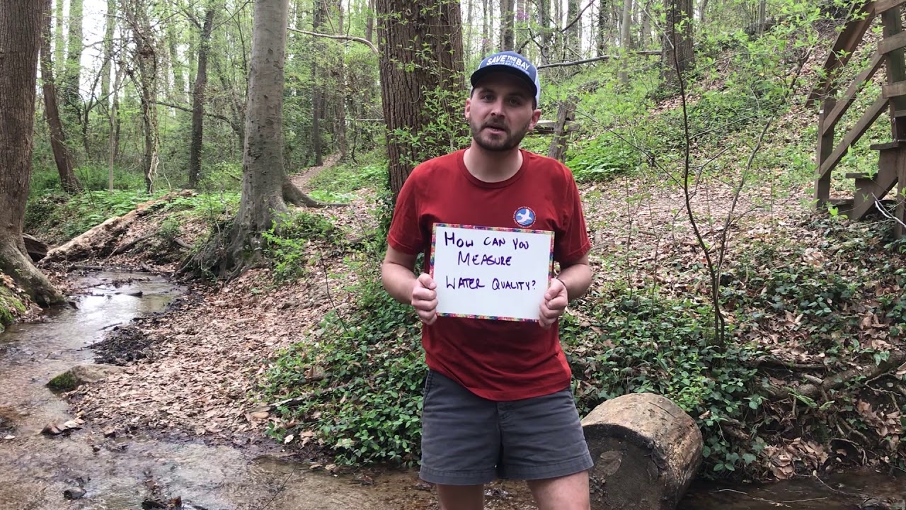 Why Is Water Quality Important?