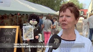 Jarige zwerfkattenopvang Rotterdam overvol