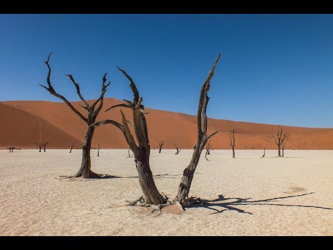 African Vacation - Namibia, Botswana, Zimbabwe 2017