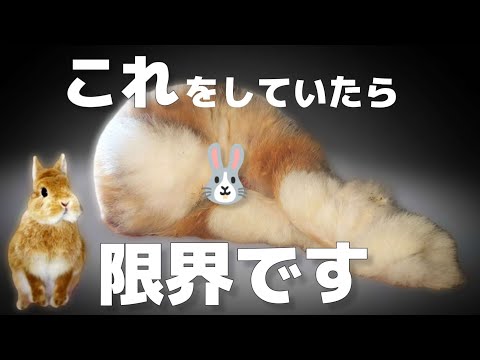 ストレスを受けたウサギの症状