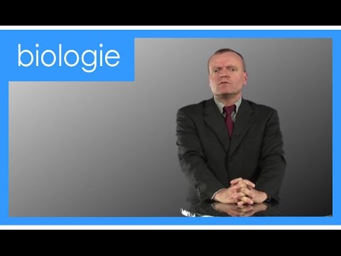 Lernen durch Wiederholung | Manfred Spitzer