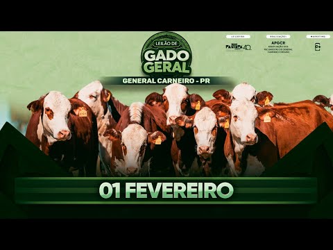 Leilão de Gado Geral, GENERAL CARNEIRO/PR - 01/02/2026 14:00h