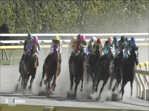 2017.02.19 Hyacinth Stakes (JPN) - Epicharis