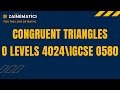 CONGRUENT TRIANGLES  O LEVELS MATHS O LEVELS 4024 IGCSE 0580