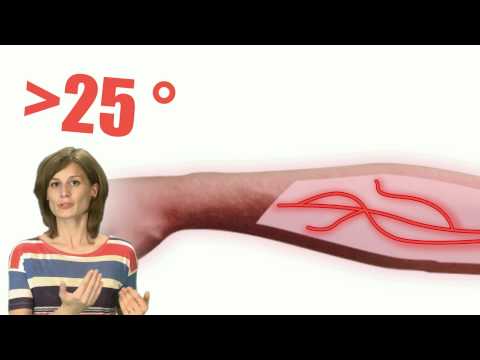 comment augmenter le taux d'humidité dans une maison