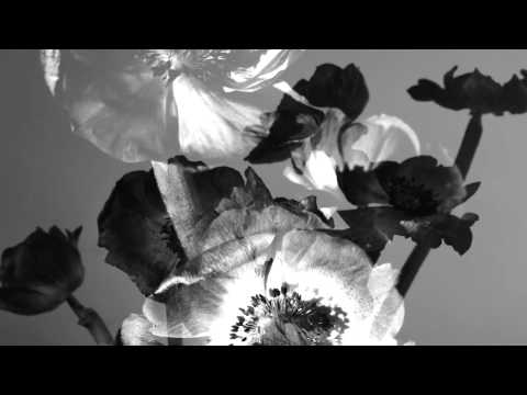 Video thumbnail for Invisible Ways