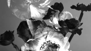 Tanlines - Invisible Ways (Official Audio)