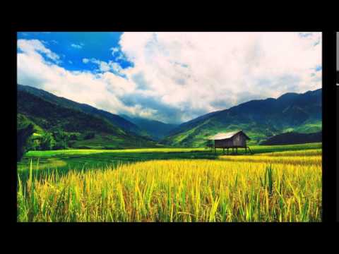 Wb Lub Tsev Nqeeb Instrumental