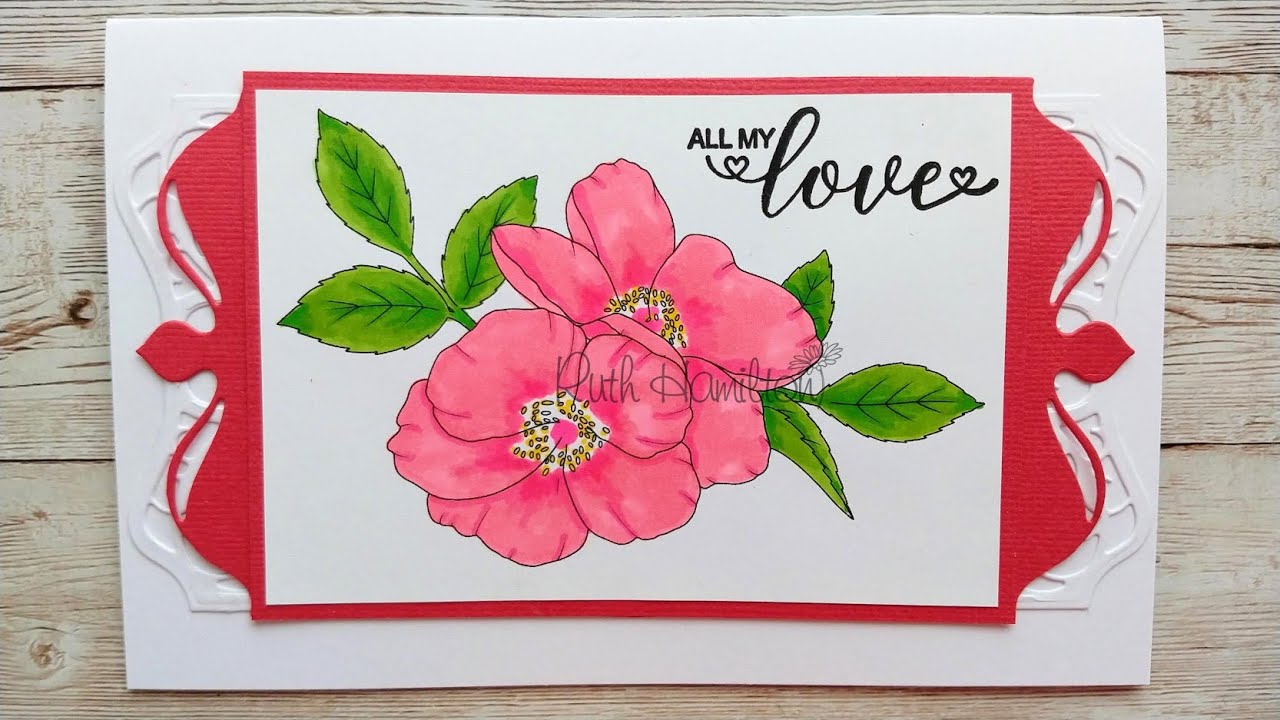Colouring Wild Roses