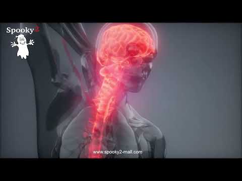 Full Body Healing Frequency | DNA Stimulation & Repair | Cell Regeneration - Spooky2 Rife Frequency