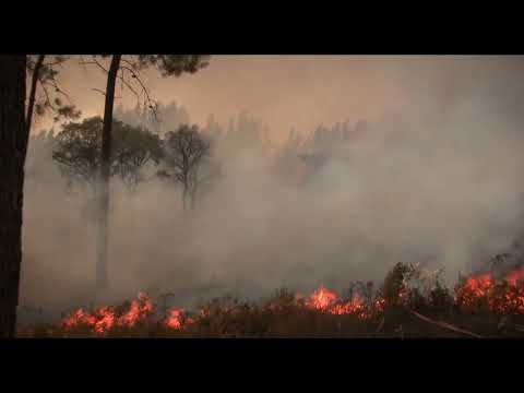 unwrapping a disaster