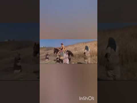 Ruth und Boas Lovestory