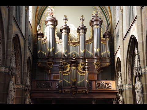 Robustelly in beeld - Aflevering 1