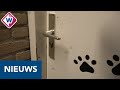 Inbraak bij Leidse dierenambulance: 'Het is laag!' - OMROEP WEST