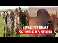 UFUGAJI WA NG OMBE WA NYAMA KIBIASHARA Uchaguzi Wa Mbegu Bora Na Unenepeshaji Wa Ng Ombe Wa Nyama
