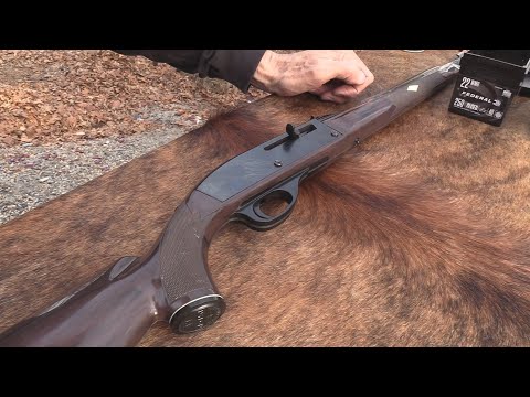 Remington Nylon 66  .22 LR