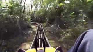 preview picture of video 'Sommer Rodelbahn Petersberg komplette Abfahrt in [HD]'