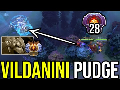 INSTANTLY DELETE IMMORTAL TINKER WITH LEVEL 28 MASTER TIER Vildanini PUDGE | GENIUS PUDGE