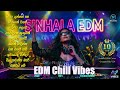 Sinhala Top 10 EDM Mixtape 24 Avi Beats