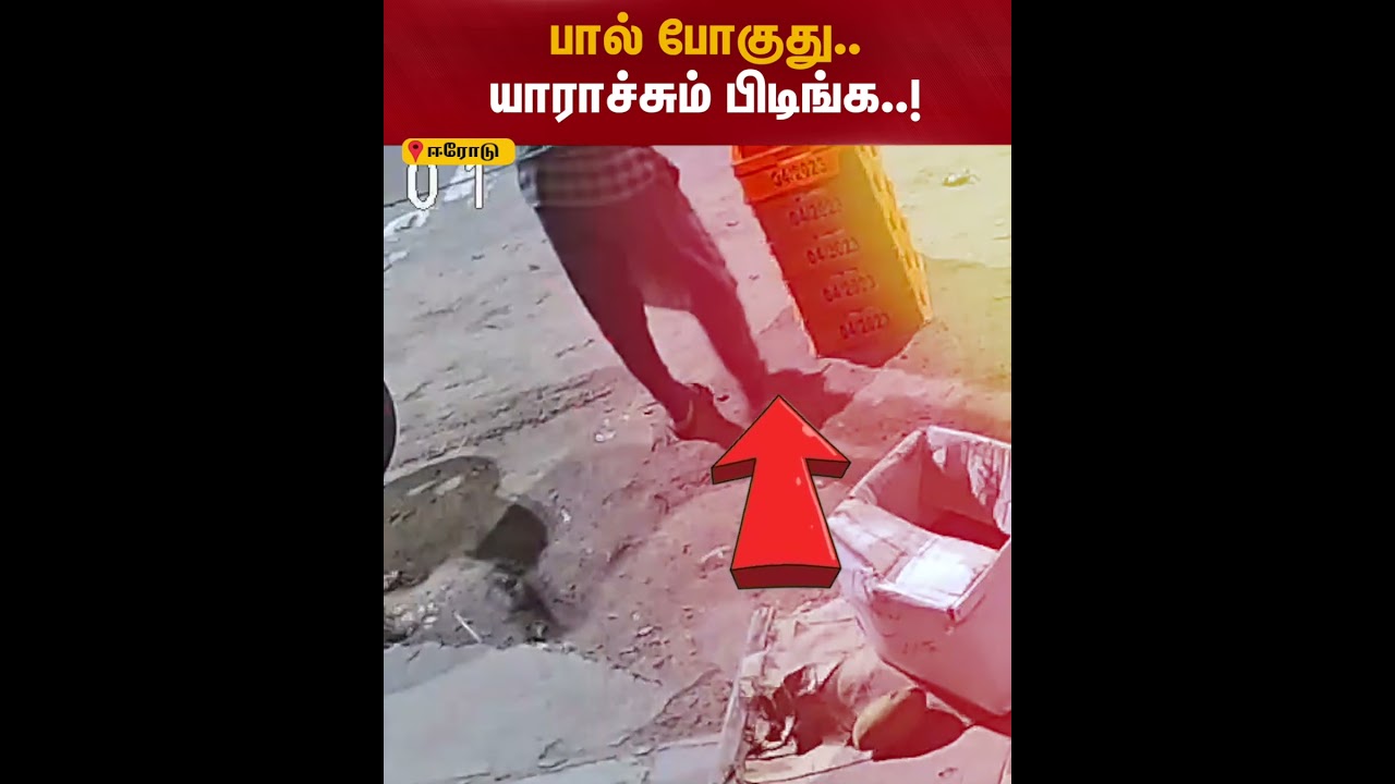 ஈரோடு, அருகே அதிகாலையில் ஆவின் பச்சை பாலை திருடிச் செல்லும் நபர்..   | Kumudam News