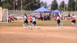 AYSO Region (1347) U12A Hornets 2011