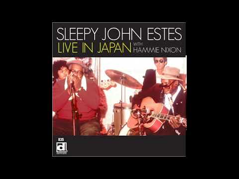 Sleepy John Estes - Live in Japan  With Hammie Nixon