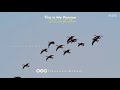 Mayakkam Ena Song Whatsapp Status