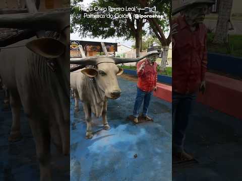 PALMEIRAS DE GOIÁS, PROJETO VISÃO AÉREA - PRAÇA OLÍSIO PEREIRA LEAL.