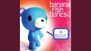 Funky Rabbits Music Video
