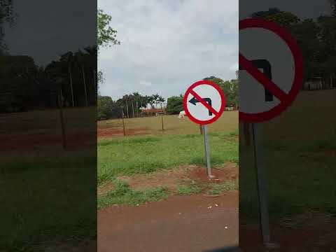 Cândido Mota-SP- #youtube #youtubeshorts #shorts #shortsviral