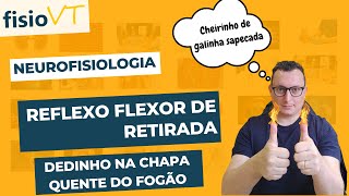 Reflexos Medulares - #04 Reflexo Flexor de Retirada - Neurofisiologia