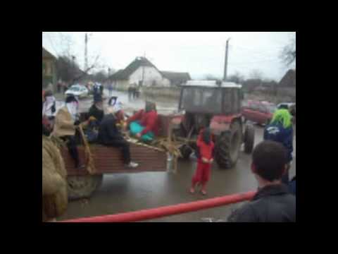 Mosi din Varadia C-S la Fasanc 2010 By Romasuedia