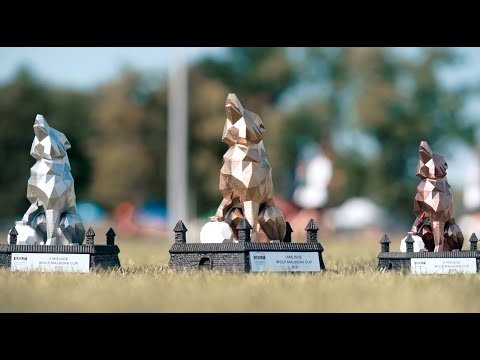 WOLF Malbork Cup 2021
