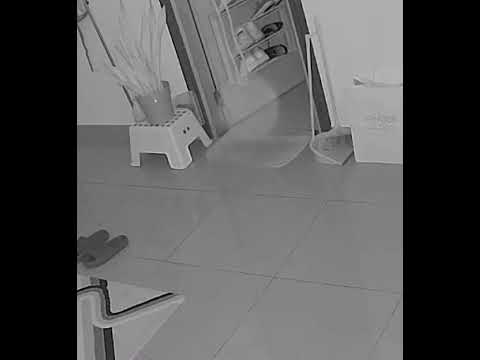 Orb caught on camera. #ghost #orbs #orb #paranormal