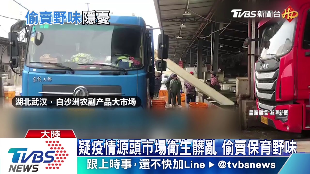 不顧肺炎疫情擴張! 陸不肖業者偷賣野味