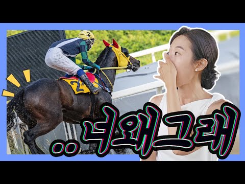 맨 앞에서 뛰다가 한순간에 꼴찌로.. 절망의 복귀전. 벨록스보이의 여덟번째 경주