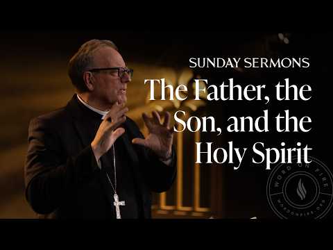 The Father, the Son, and the Holy Spirit - Bishop Barron's Sunday Sermon