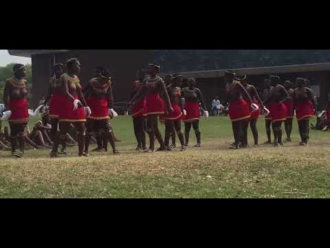 ZULU MAIDENS- SESIZOBANGENA