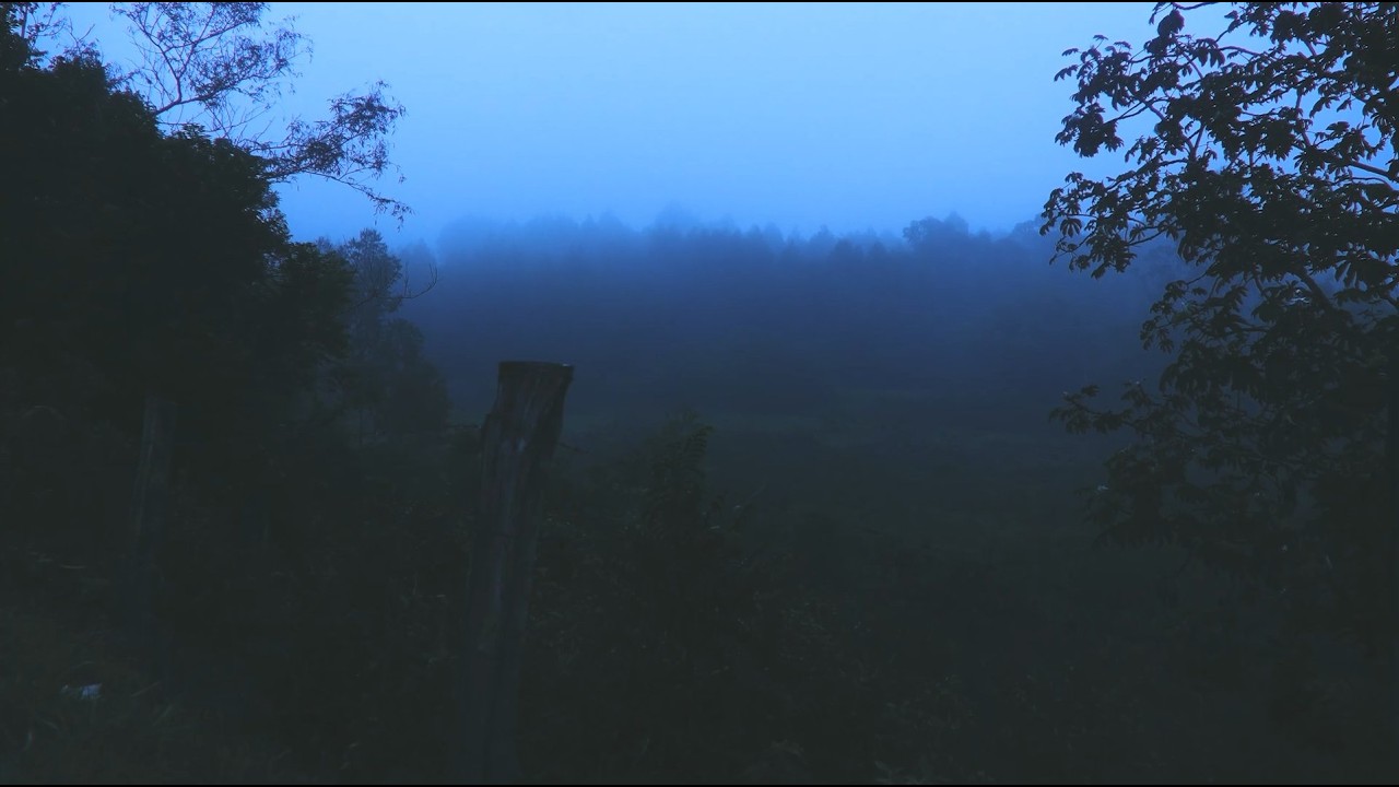 Drowned Lake — Convergence Games Showcase trailer teaser