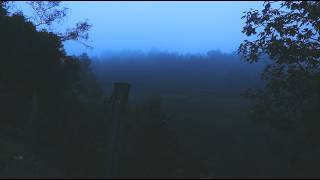 Drowned Lake — Convergence Games Showcase trailer teaser