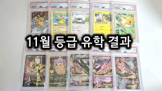 11월 포켓몬카드 PSA 그레이딩 유학 6개월 결과 리뷰! 오늘 기준 10점 전세계 1장인 카드 만들었습니다