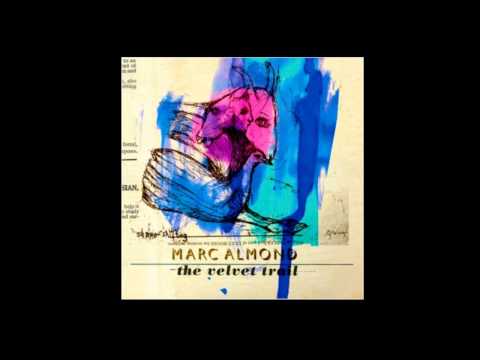 Marc Almond, Beth Ditto - When the comet comes